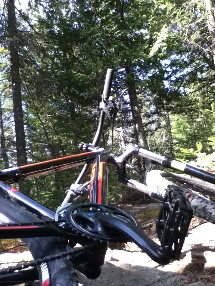 Trek Marlin: A close-up view of a mountain bike partially resting on a rocky trail, surrounded by lush green trees in a wooded area. The image captures the bike's handlebars, pedals, and chainring, highlighting its rugged features. Sunlight filters through the tree canopy, creating a serene outdoor atmosphere.
