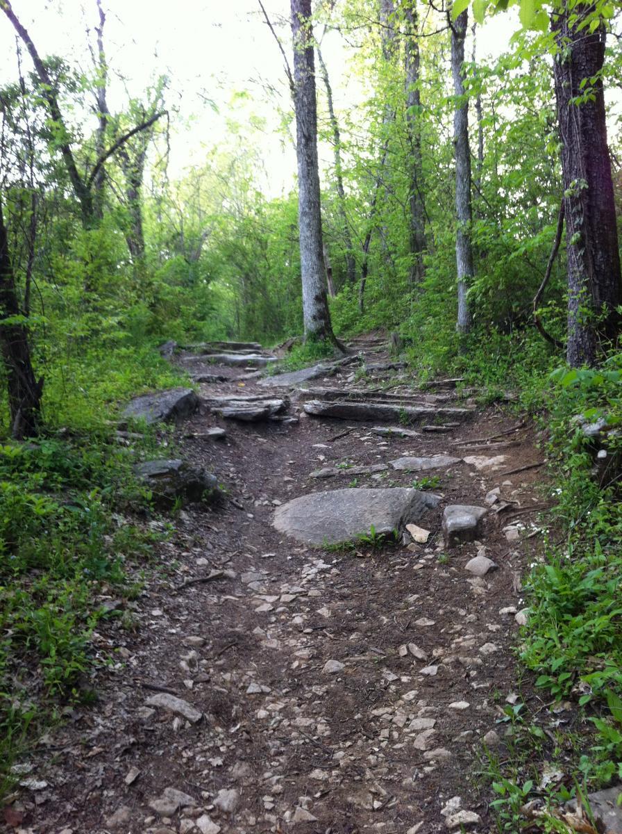 A rocky and uneven hiking trail surrounded by lush green trees and foliage, leading into a shaded wooded area. The path is winding and partially covered with stones and dirt, suggesting a natural and somewhat rugged hiking experience. Chickasaw Trace mountain bike trail.