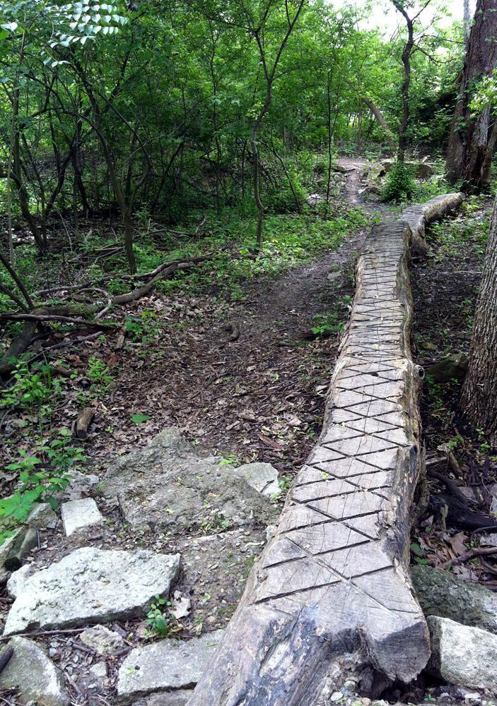  Jermain Park mountain bike trail.