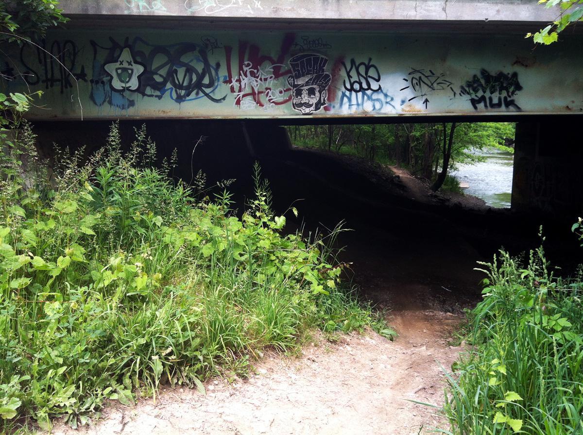 A view of a partially shaded area beneath a concrete bridge, with various colorful graffiti on the bridge's support structure. Lush green vegetation, including tall grass and shrubs, surrounds a dirt path leading towards a small stream visible in the background, creating a natural setting with an urban art contrast. Jermain Park mountain bike trail.