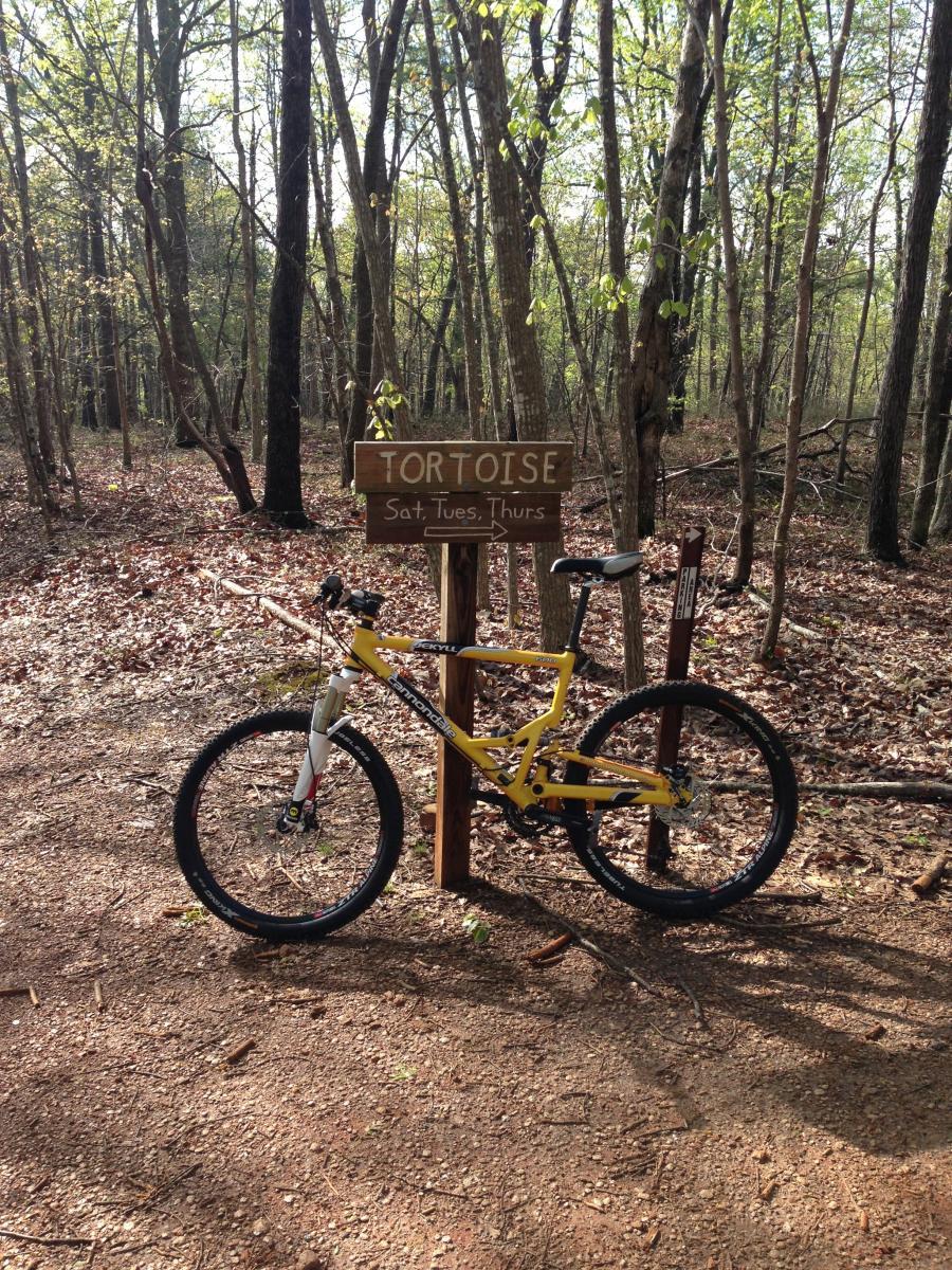 A yellow mountain bike is leaning against a wooden sign that reads "TORTOISE" with the days "Sat, Tues, Thurs" listed beneath it. The sign points to the right, indicating a trail in a forested area with trees and fallen leaves on the ground. Sunlight filters through the foliage, creating a serene outdoor atmosphere. Chicopee Woods mountain bike trail.