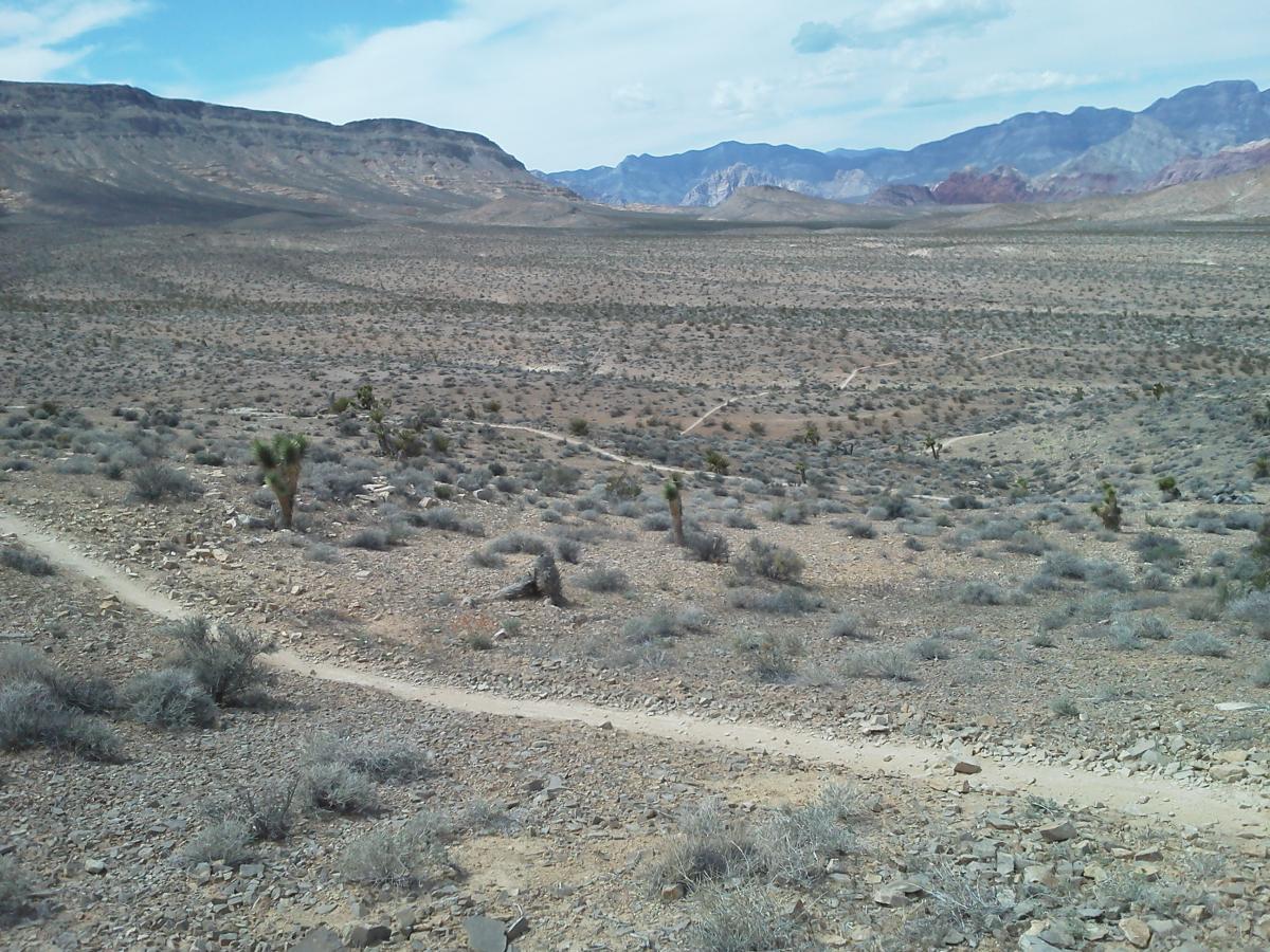 A panoramic view of a dry, desert landscape featuring rocky terrain and sparse vegetation, with low shrubs and a few Joshua trees scattered throughout. Rolling hills and distant mountains can be seen under a partly cloudy sky. A winding dirt path leads through the foreground, emphasizing the arid wilderness. Bears Best mountain bike trail.