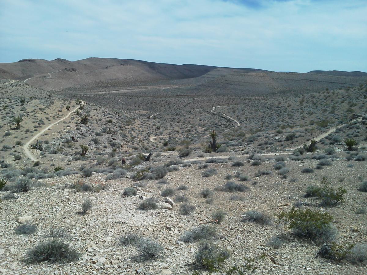 A vast desert landscape featuring rocky terrain and sparse vegetation, with winding dirt paths leading through the scene. The background showcases rolling hills under a partly cloudy sky. Bears Best mountain bike trail.