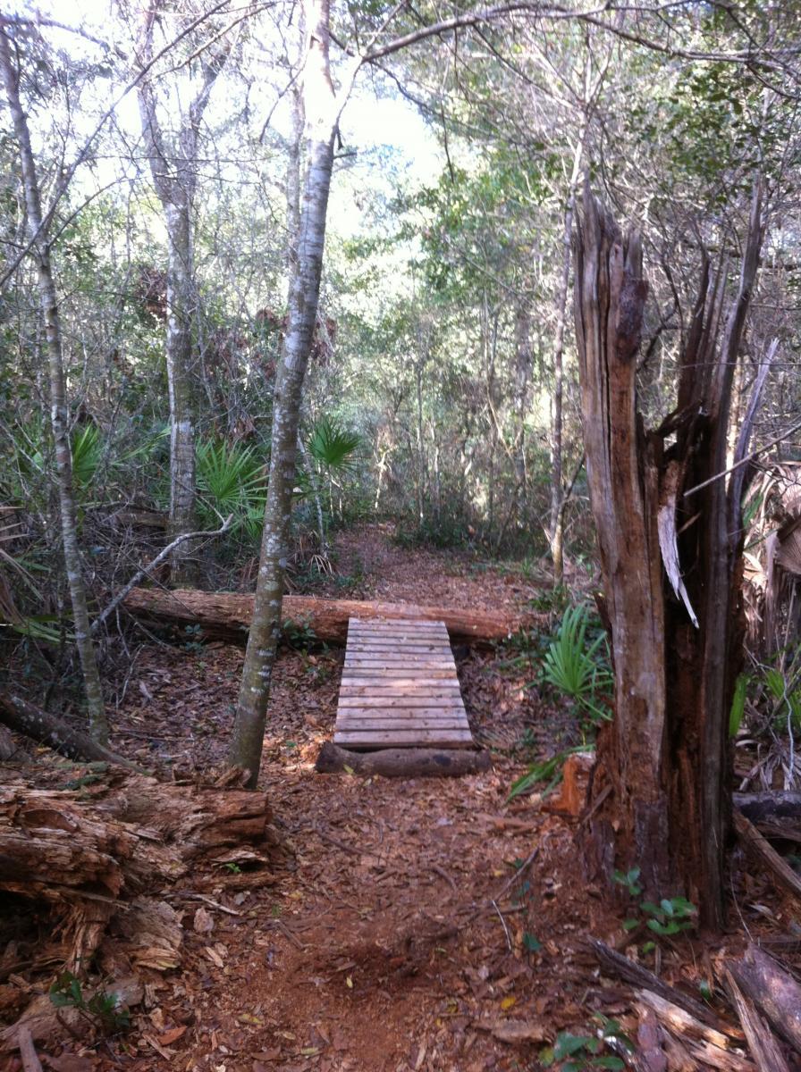 A narrow wooden bridge crosses a small area of a forest path, surrounded by trees and lush greenery. The ground is covered with fallen leaves and branches, creating a natural and rustic atmosphere. Moses Creek mountain bike trail.