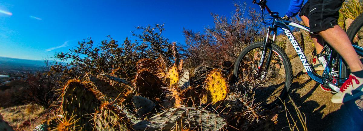 A mountain biker's legs are visible near a clustered group of prickly cacti on a sunlit trail. The background features blue skies and distant hills, suggesting an outdoor adventure in a rugged landscape. South Foothills mountain bike trail.