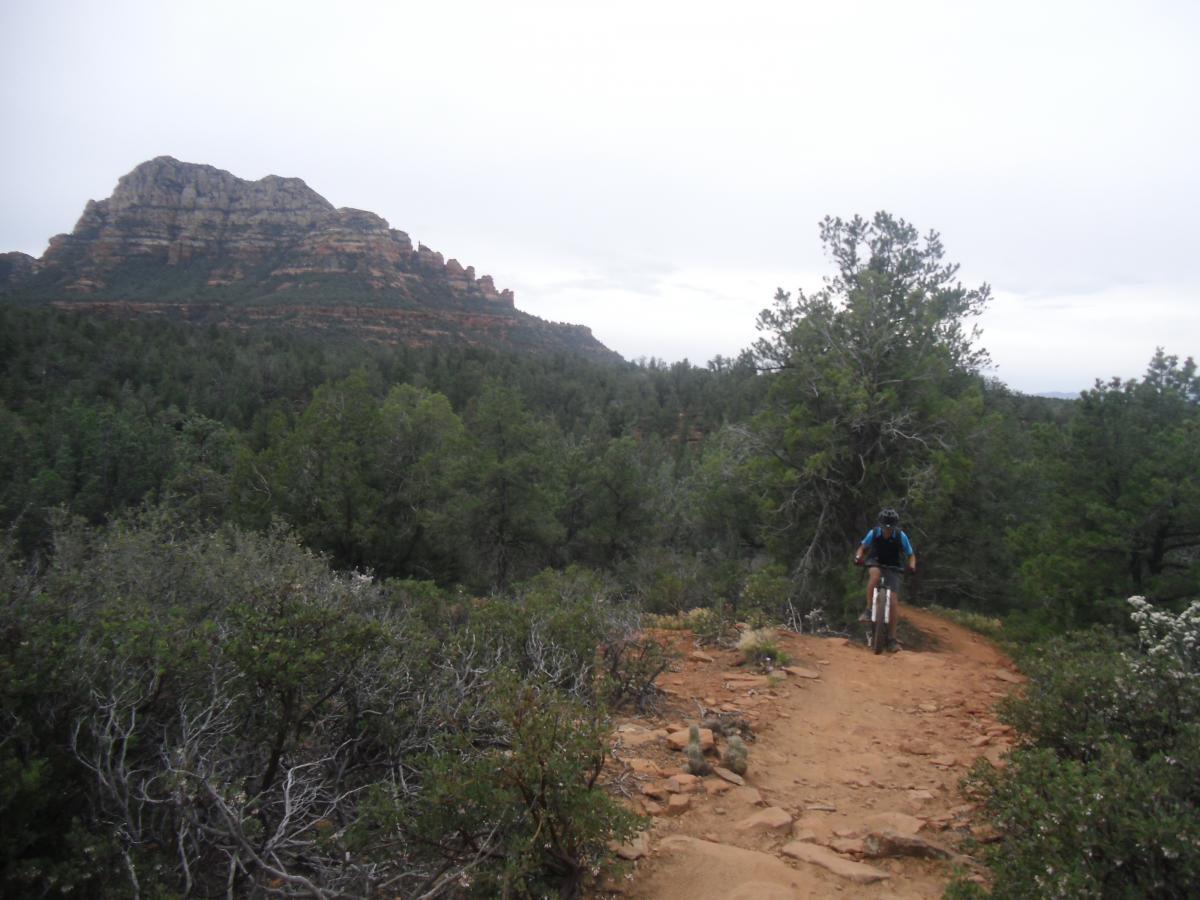 A mountain biker riding along a sandy trail surrounded by lush green trees and shrubs, with a rocky mountain prominent in the background under a cloudy sky. Chuck Wagon mountain bike trail.
