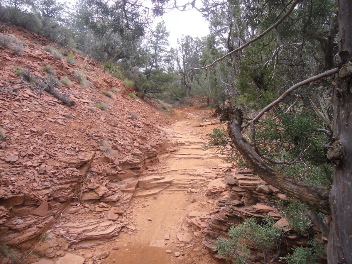 A narrow hiking trail winding through a rocky landscape, surrounded by greenery and earthy red soil, with large stones and patches of grass visible. Chuck Wagon mountain bike trail.