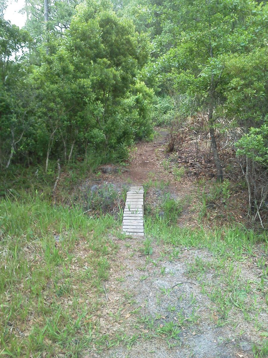 A narrow, wooden footbridge crossing a small ditch on a path surrounded by lush greenery and trees. The path is slightly worn, leading into a dense area of foliage in the background. Nocatee mountain bike trail.