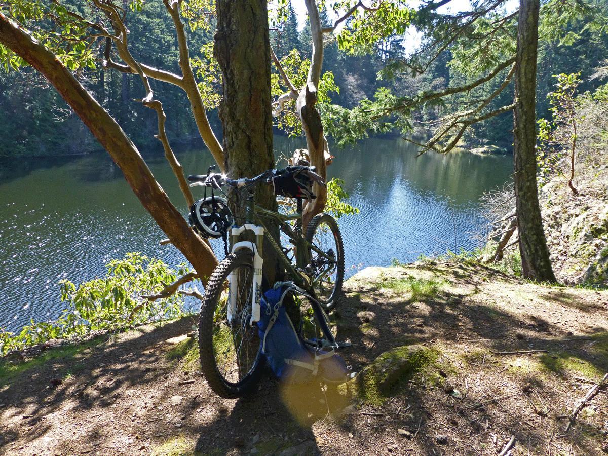 Santa Cruz Blur: A mountain bike resting against a tree near a serene lake, surrounded by lush greenery and tall trees. The water reflects the natural scenery, creating a peaceful outdoor atmosphere.