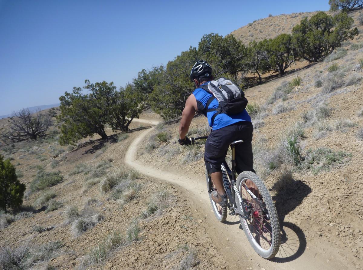 A person riding a mountain bike on a dirt trail surrounded by sparse vegetation and trees. The scene is set in a rugged outdoor environment under a clear blue sky. Zippety Do Dah mountain bike trail.
