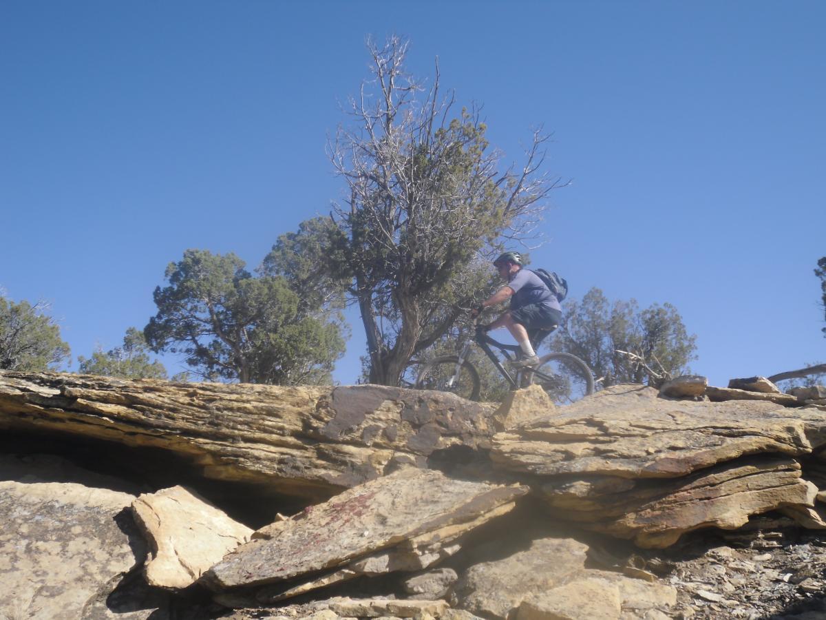 A mountain biker riding over rocky terrain with trees and a clear blue sky in the background. Phil's World mountain bike trail.