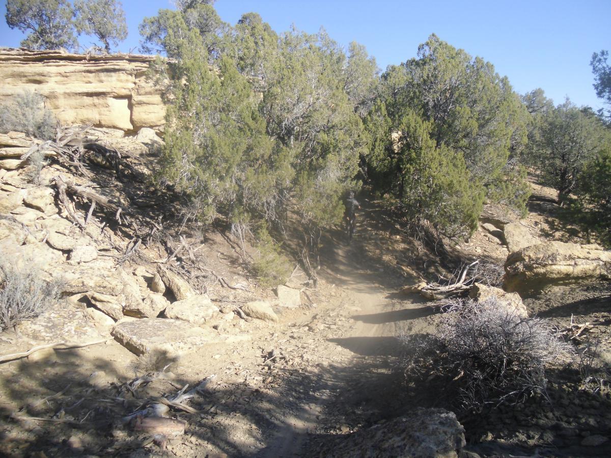A narrow dirt trail winding through a rocky landscape surrounded by shrubs and trees. Sunlight filters through the foliage, casting shadows on the uneven terrain, showcasing a natural rugged outdoor setting. Phil's World mountain bike trail.