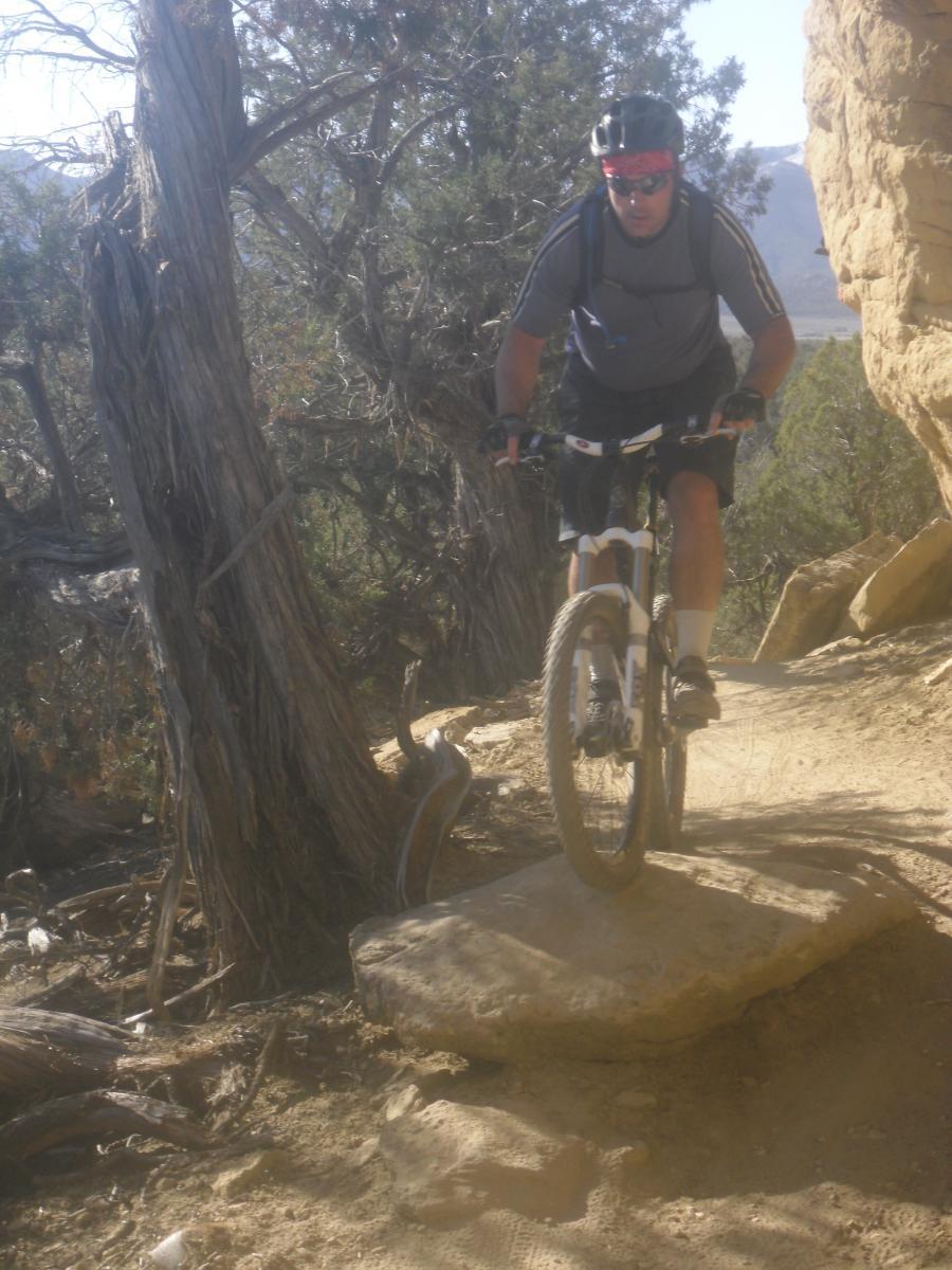 A person riding a mountain bike on a rocky trail surrounded by trees and rugged terrain, with a focus on maintaining balance as they navigate over a large stone. The rider is wearing a helmet, sunglasses, and athletic clothing, showcasing an active outdoor lifestyle. Phil's World mountain bike trail.