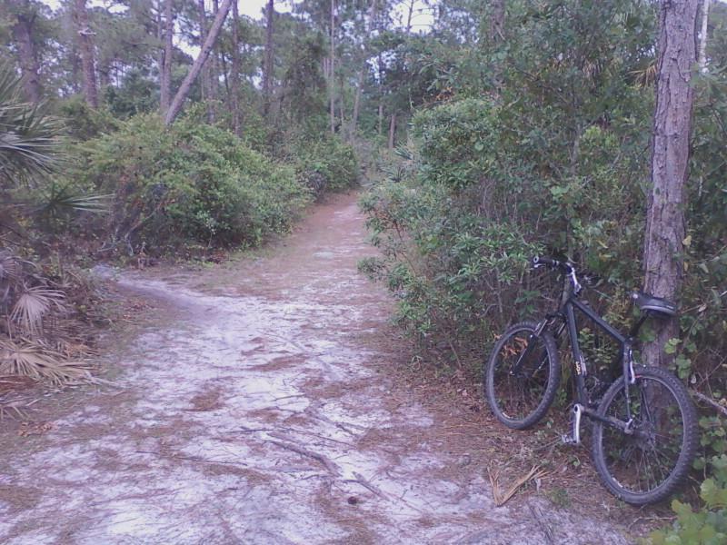A dirt biking trail surrounded by dense greenery, with a black mountain bike leaning against a tree on the right side of the path. The trail is slightly winding and covered in sandy soil, indicating a natural outdoor setting. Halpatiokee mountain bike trail.