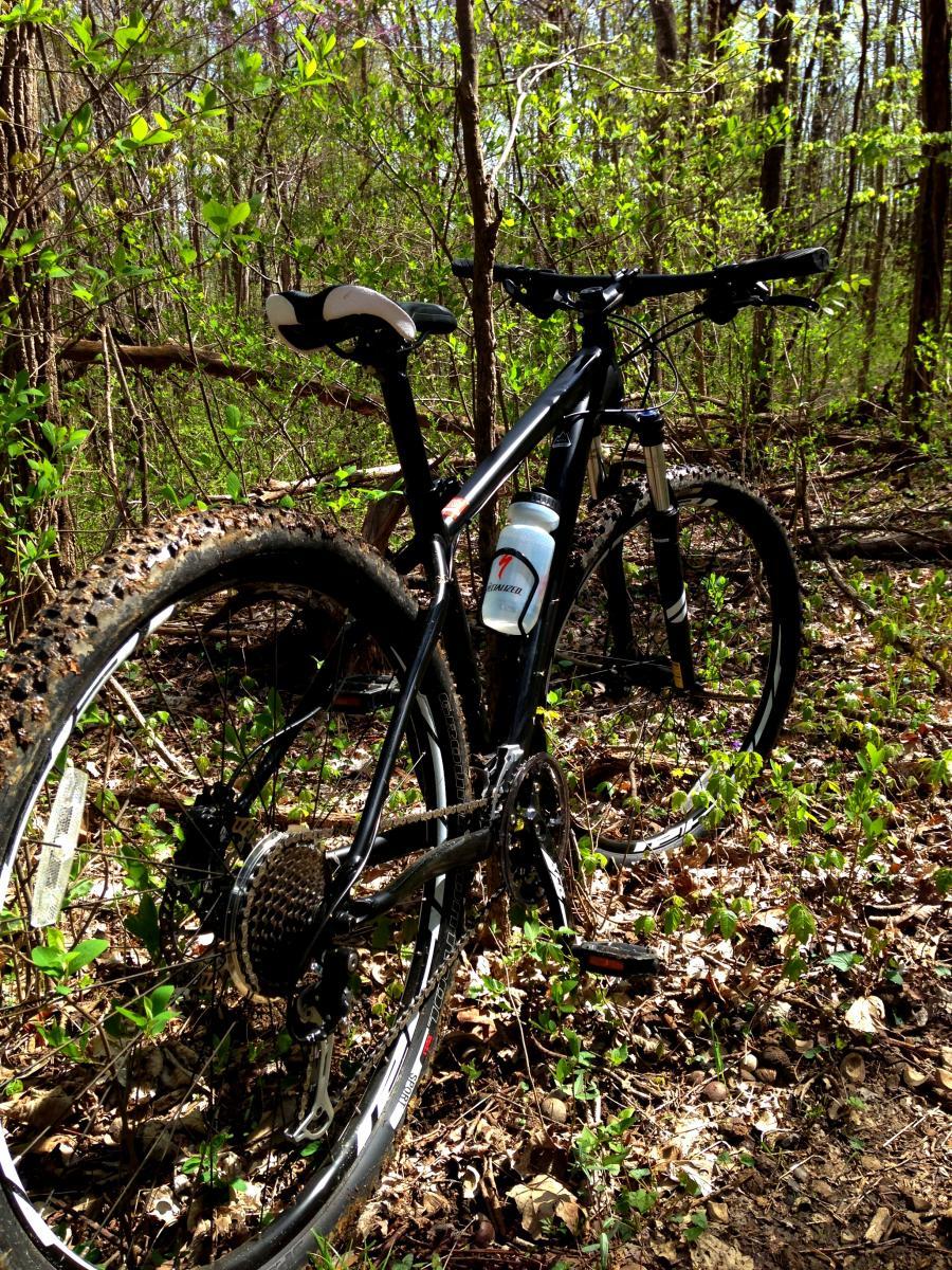 Specialized Rockhopper: A black mountain bike parked on a forest trail, surrounded by lush green foliage and leaves. The bike has a water bottle attached and shows signs of dirt and mud, indicating recent use on a rugged terrain. Sunlight filters through the trees, casting a warm glow on the scene.