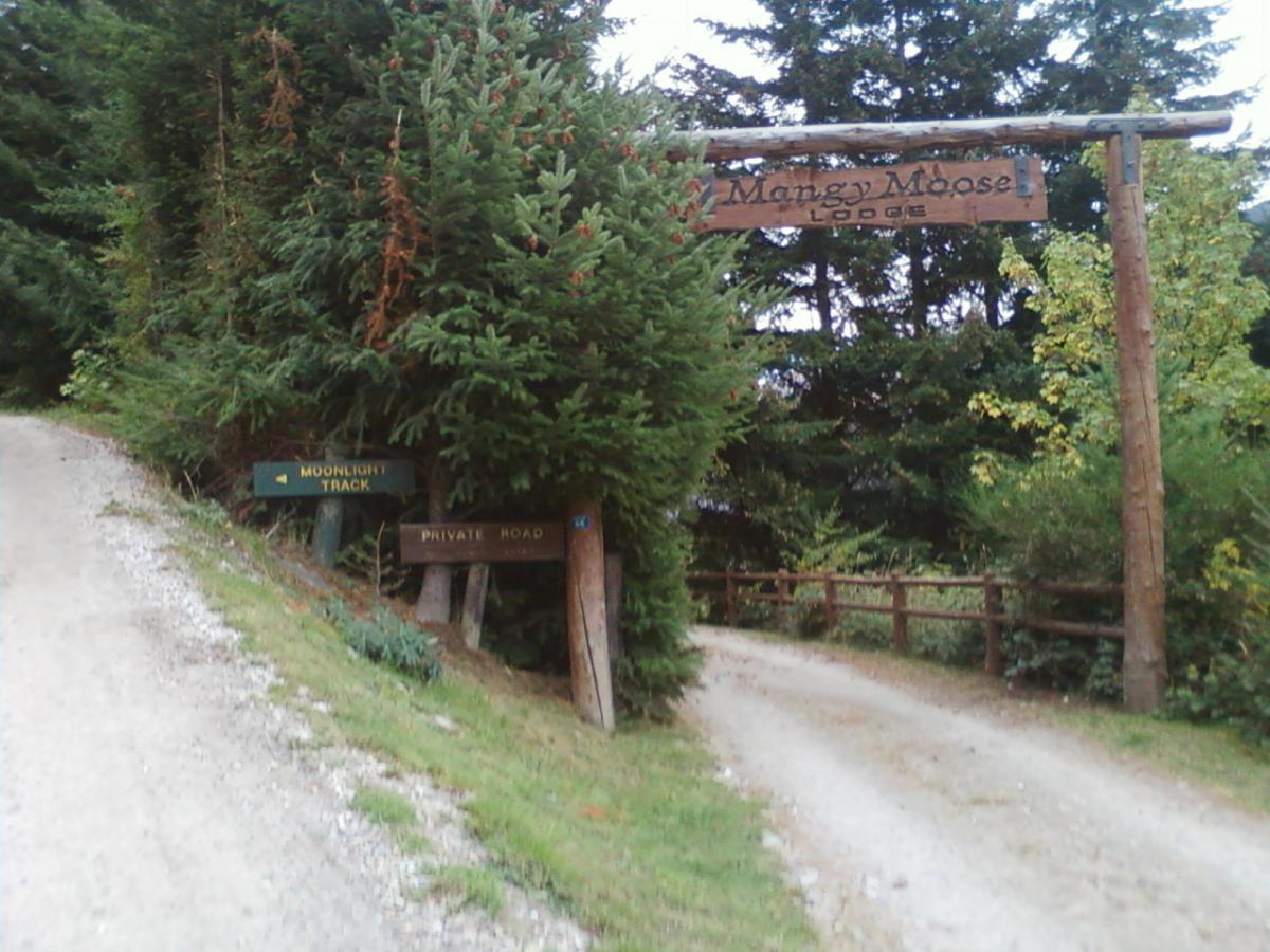 Sign at the entrance of Mangy Moose Lodge, surrounded by tall evergreen trees, with a gravel road leading in different directions. One sign indicates "Moonlight Track" while another points to "Private Road." Moonlight Circuit mountain bike trail.