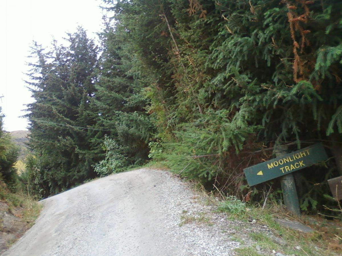 A winding gravel path surrounded by dense green trees, with a wooden sign indicating the direction to "Moonlight Track." The pathway leads upward, disappearing into the lush foliage. Moonlight Circuit mountain bike trail.