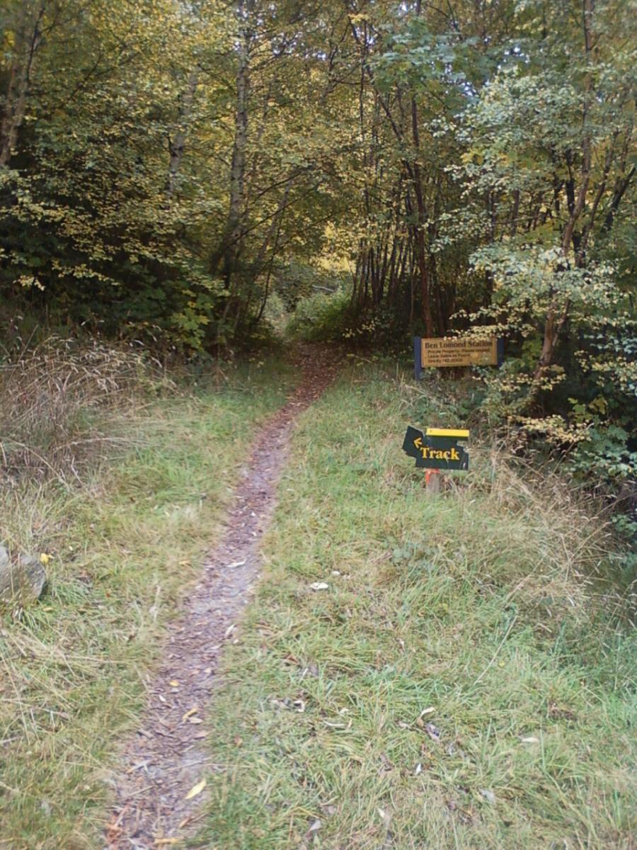 A narrow dirt path winding through a forest, surrounded by greenery and autumn foliage. Signs indicate the direction of a track. Moonlight Circuit mountain bike trail.