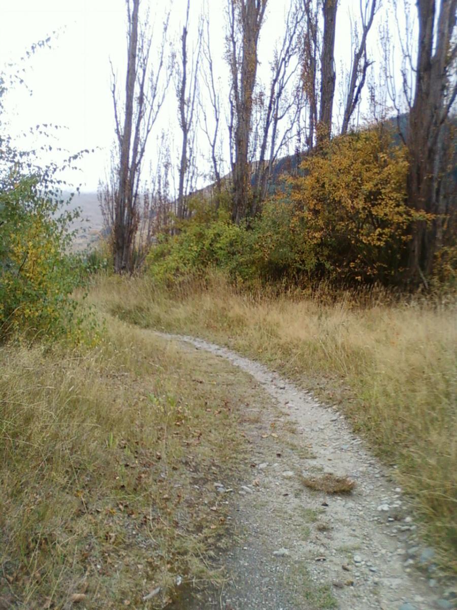 A winding dirt path cutting through a grassy landscape, bordered by tall, bare trees and patches of greenery, set in a tranquil outdoor environment. Moonlight Circuit mountain bike trail.