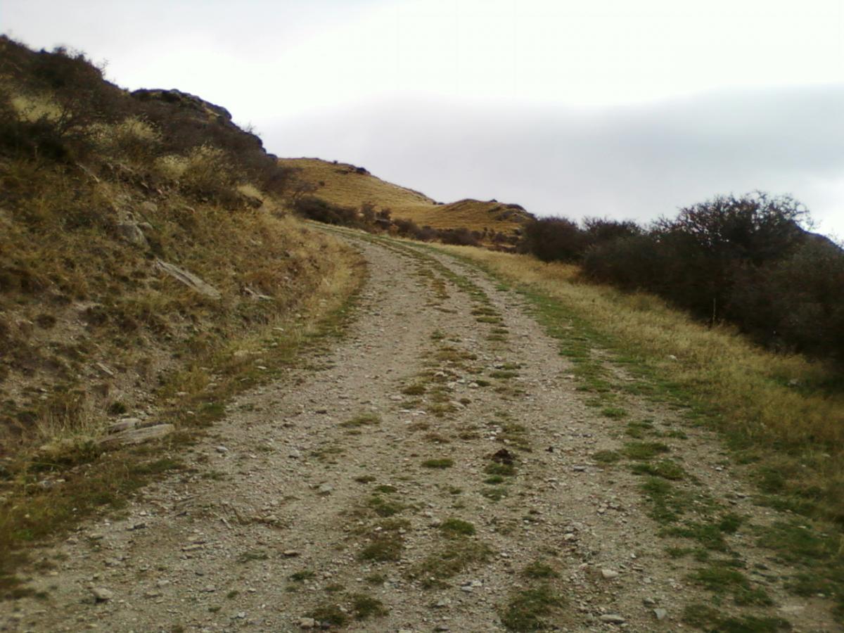 A winding dirt path leading up a hillside, surrounded by sparse vegetation and rocky terrain under a cloudy sky. Moonlight Circuit mountain bike trail.