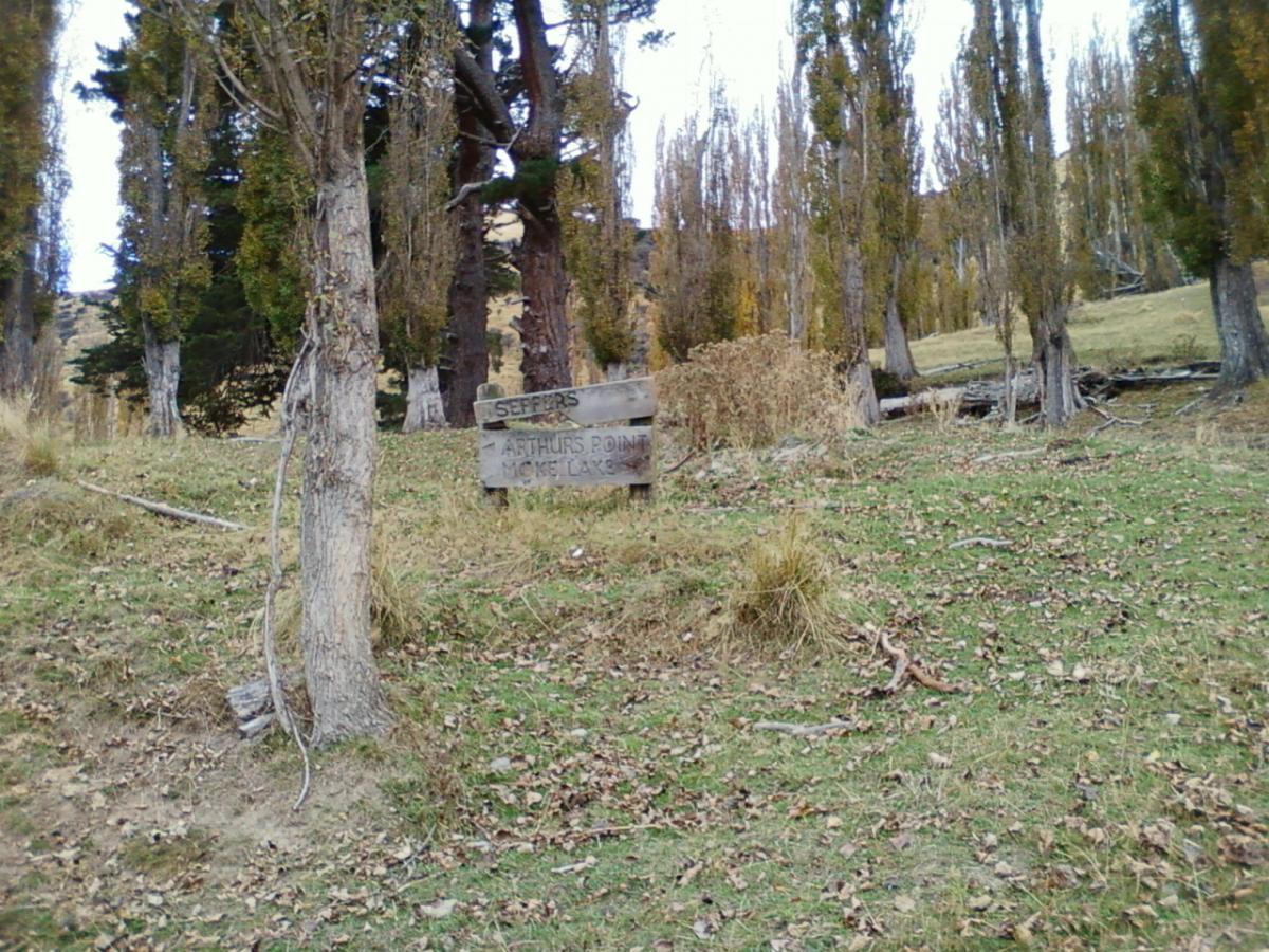 A grassy area surrounded by tall trees, featuring a wooden sign that reads "Seffers | Arthur's Point | Honey Lake." The landscape appears calm, with scattered dry leaves on the ground. Moonlight Circuit mountain bike trail.