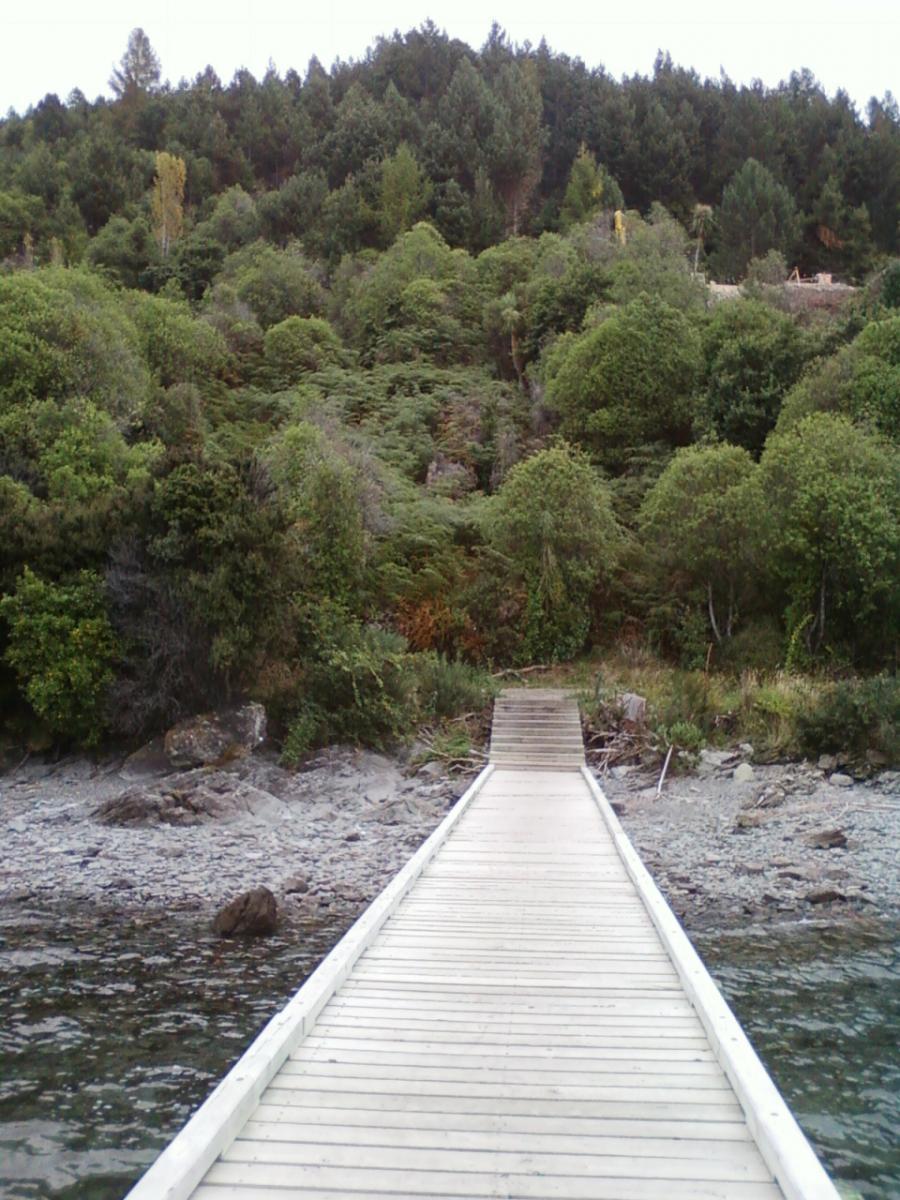 A wooden dock extends over a rocky shoreline, leading towards a lush hillside filled with various shades of green vegetation and trees. The scene captures a tranquil natural setting, with water gently lapping against the shore. 7 Mile Riding Area mountain bike trail.
