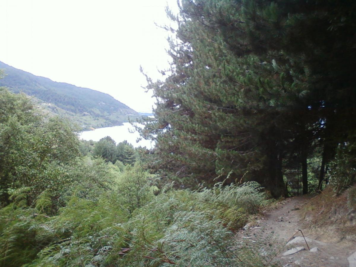 A serene landscape featuring a winding path through lush greenery, with tall trees on one side and a view of a calm lake surrounded by mountains in the distance. The sky is overcast, creating a tranquil atmosphere. Seven Mile Bike Park mountain bike trail.