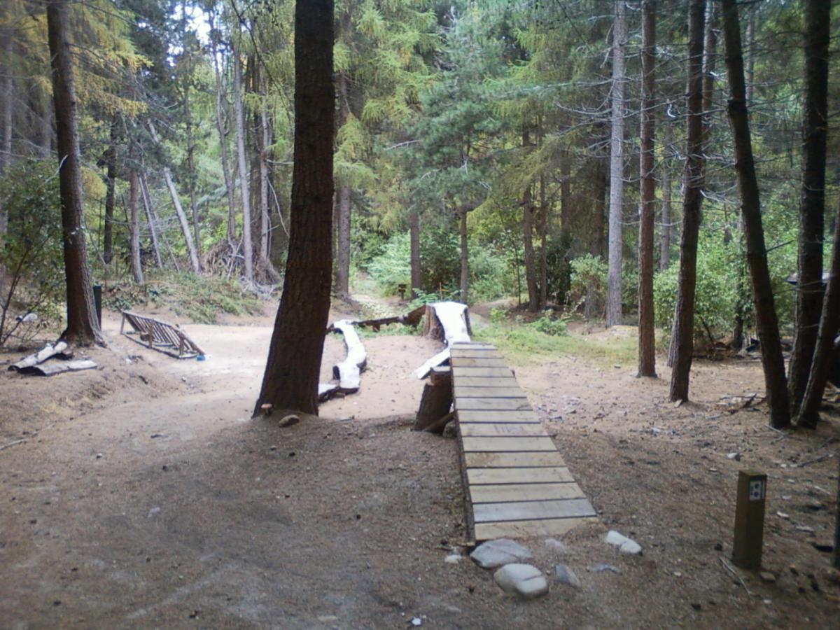 A dirt path winding through a dense forest, featuring a wooden ramp and scattered logs. The scene is surrounded by tall trees and greenery, creating a natural outdoor environment. 7 Mile Riding Area mountain bike trail.