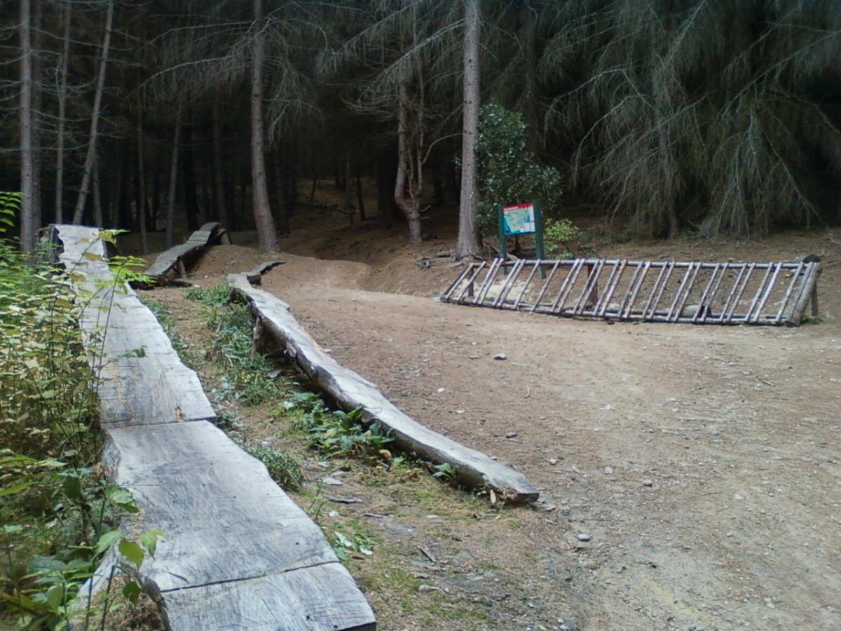 A forest path with wooden planks and a dirt track, surrounded by trees. In the background, there are signs indicating the trail, and a rustic wooden barrier. The area appears natural and untouched. 7 Mile Riding Area mountain bike trail.