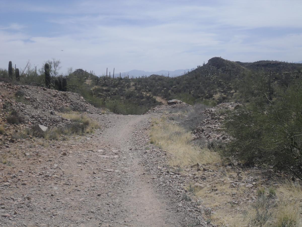 A dirt path winding through a rocky desert landscape, flanked by sparse vegetation and cacti, under a partly cloudy sky. The distant mountains are visible in the background. Tucson Mountain Park mountain bike trail.