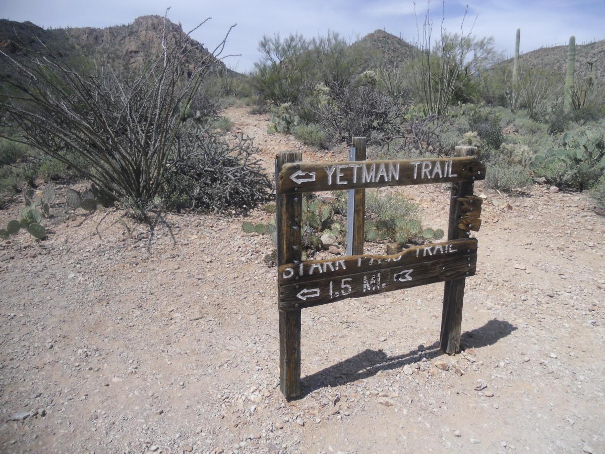 Wooden trail sign indicating directions for Yetman Trail and a nearby trail, with a distance of 1.5 miles, set against a desert landscape featuring cacti and sparse vegetation. Tucson Mountain Park mountain bike trail.