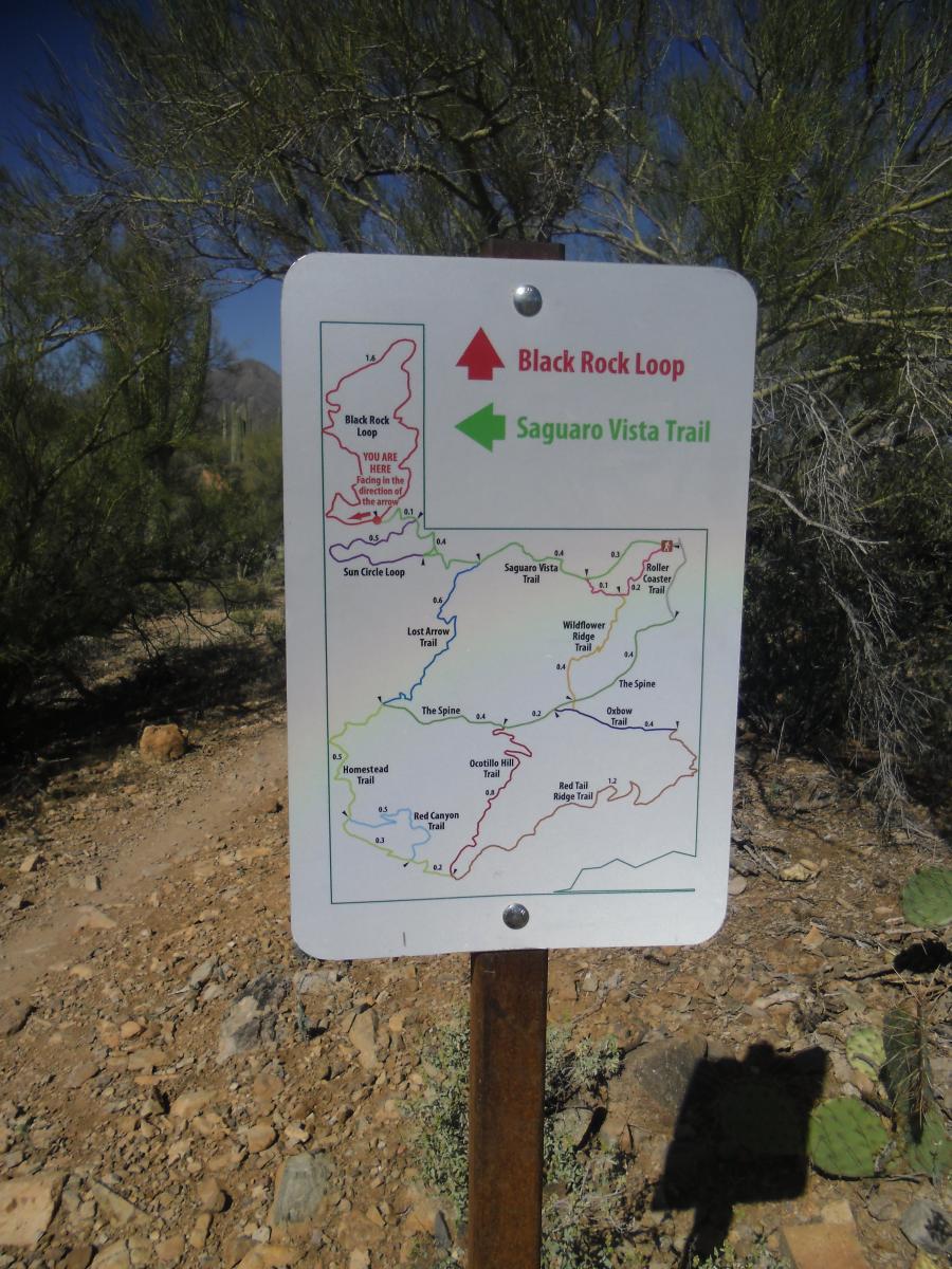 Sign showing a map of hiking trails, including the Black Rock Loop and Saguaro Vista Trail, with a marker indicating the viewer's location. The map features various trail names and their distances. Surrounding desert vegetation is visible. Sweetwater Preserve mountain bike trail.