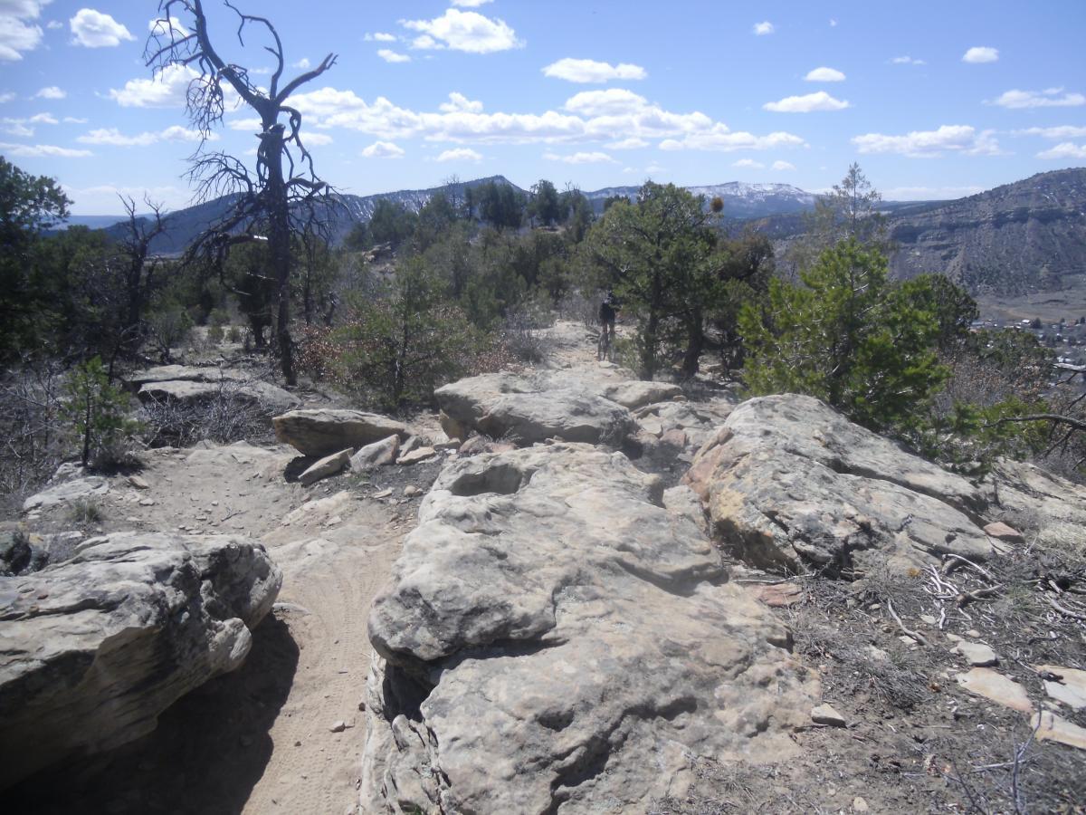 A rocky hiking trail through a sparse forest, featuring a large boulder and a dry, winding path. In the background, rolling hills and mountains are visible beneath a partly cloudy sky. Horse Gulch mountain bike trail.
