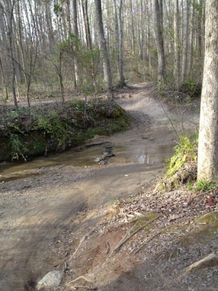 A winding dirt path lined with trees, leading through a peaceful forest. To the left, a small stream flows gently over the rocky ground, with patches of greenery on the banks. The scene is illuminated by soft, natural light filtering through the trees, creating an inviting atmosphere for outdoor exploration. North Meck Park mountain bike trail.