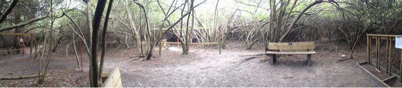 A panoramic view of a wooded area with sparse vegetation. The ground is covered in dirt, and there are wooden benches placed intermittently. In the background, the dense branches of trees create a natural canopy overhead, and there are several wooden structures or frames visible, indicating a potential outdoor recreational or gathering space. The overall atmosphere is tranquil and secluded. Caloosahatchee Regional Park mountain bike trail.
