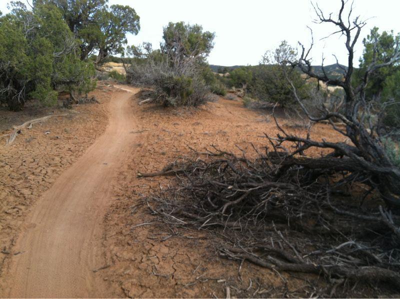 A sandy, winding trail cuts through a rugged landscape with sparse vegetation, including low shrubs and twisted branches. The ground appears dry and cracked, indicating a parched environment. In the background, hills rise gently under a cloudy sky. Alien Run Trail mountain bike trail.