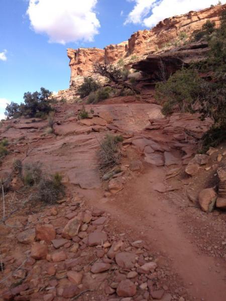 A rocky trail winding up a steep slope surrounded by reddish sandstone cliffs and sparse vegetation under a partly cloudy blue sky. Porcupine Rim mountain bike trail.