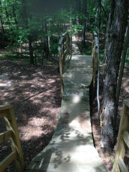 A wooden bridge extending through a wooded area, surrounded by trees and dappled sunlight. The bridge has a curved path and is supported by wooden railings, with leaf-covered ground visible on either side. Cadillac mountain bike trail.