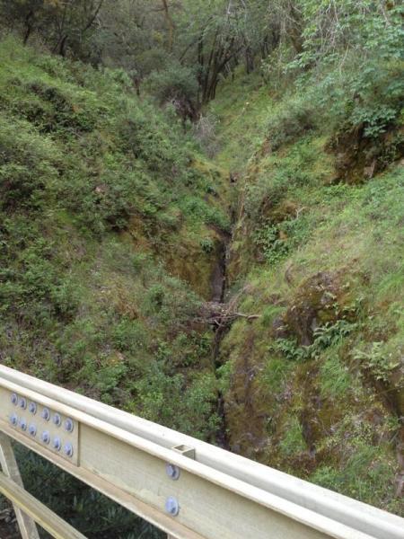 A narrow, rocky gorge surrounded by lush greenery, with a wooden railing visible in the foreground. The gorge features a small waterway with some fallen branches. Sunlight filters through the trees, highlighting the vibrant foliage on either side. China Camp mountain bike trail.