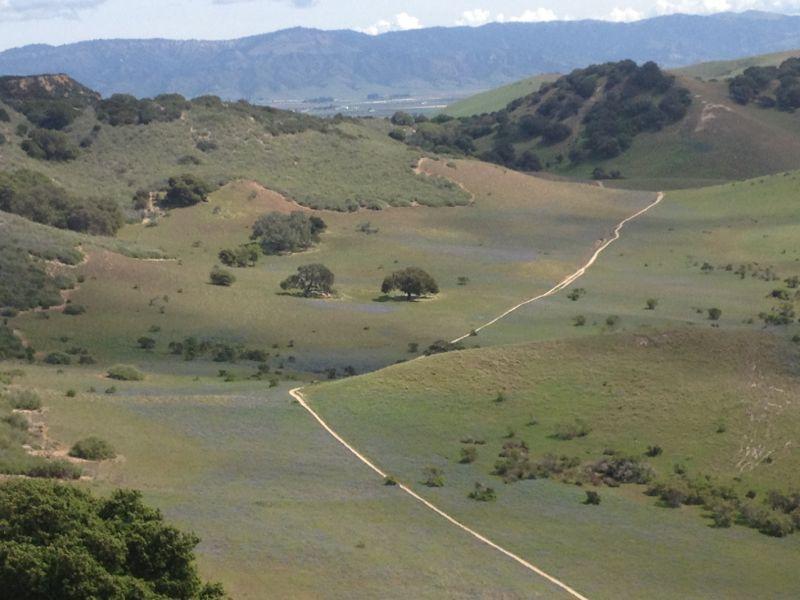 A scenic view of rolling hills covered with greenery and patches of wildflowers, with a winding dirt path leading through the landscape. In the background, mountains rise against a partly cloudy sky, creating a peaceful natural setting. Fort Ord Public Lands mountain bike trail.