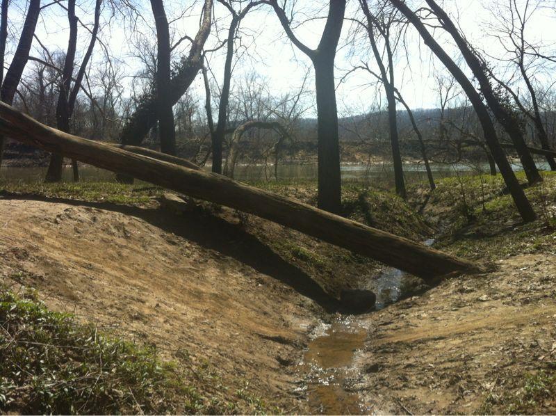 A tranquil riverside scene featuring a fallen tree across a small stream, surrounded by bare trees and grassy banks. Sunlight filters through the branches, casting soft shadows on the sandy ground and water. A gentle flow of water can be seen in the foreground, while the river stretches out in the background. Castlewood State Park mountain bike trail.