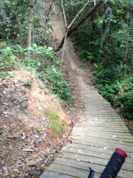 A narrow wooden bike path winding through a lush green forest, surrounded by trees and foliage. The path is elevated on one side and partially obscured by vegetation, creating a scenic and natural biking trail. A portion of a mountain bike handlebar is visible at the bottom of the image. Tom Brown / Lafayette Heritage Park mountain bike trail.