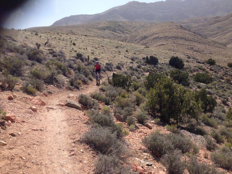 A mountain biker riding along a dirt trail surrounded by shrubs and dry vegetation, with rolling hills and mountains in the background under a clear blue sky. Deadhorse Loop mountain bike trail.