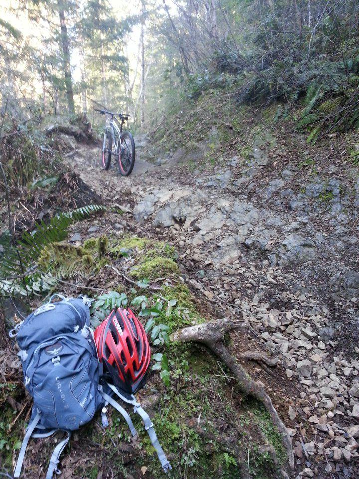 A mountain bike parked on a rocky trail surrounded by dense forest. In the foreground, a gray backpack and a red bicycle helmet are resting on the ground among moss and ferns. Sunlight filters through the trees, creating a natural, outdoor setting. Green Mountain Trails mountain bike trail.