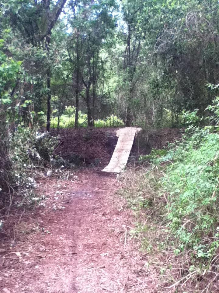 A dirt path winding through a dense wooded area, featuring a makeshift wooden ramp leading over a small rise. Surrounding vegetation includes trees and shrubs, with scattered leaves on the ground. Tillie Fowler Regional Park mountain bike trail.
