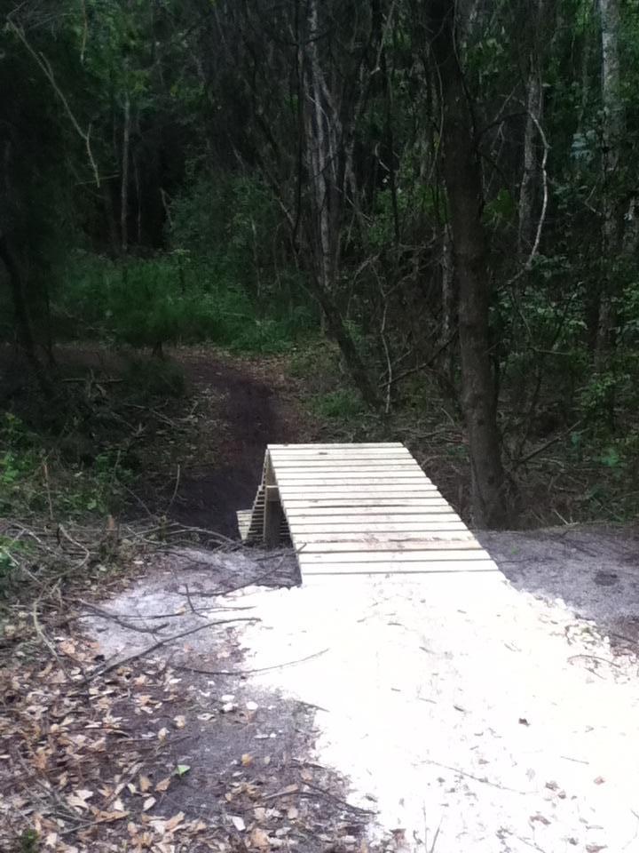 A wooden bridge leading across a small gap in a wooded area, surrounded by trees and foliage. The path is dirt with some scattered leaves and marks of a recently used trail. Tillie Fowler Regional Park mountain bike trail.