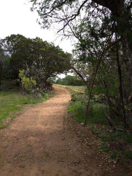A winding dirt path surrounded by greenery and trees, leading through a natural landscape with patches of grass and cacti. Reveille Peak Ranch mountain bike trail.