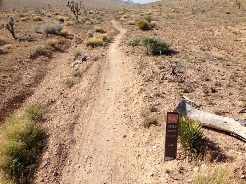 A dirt trail winding through a dry, desert landscape with sparse vegetation and rocky terrain. A sign indicating "Dead Horse Loop" is positioned on the right side of the path. The scenery is arid, with low shrubs and scattered patches of grass. Deadhorse Loop mountain bike trail.