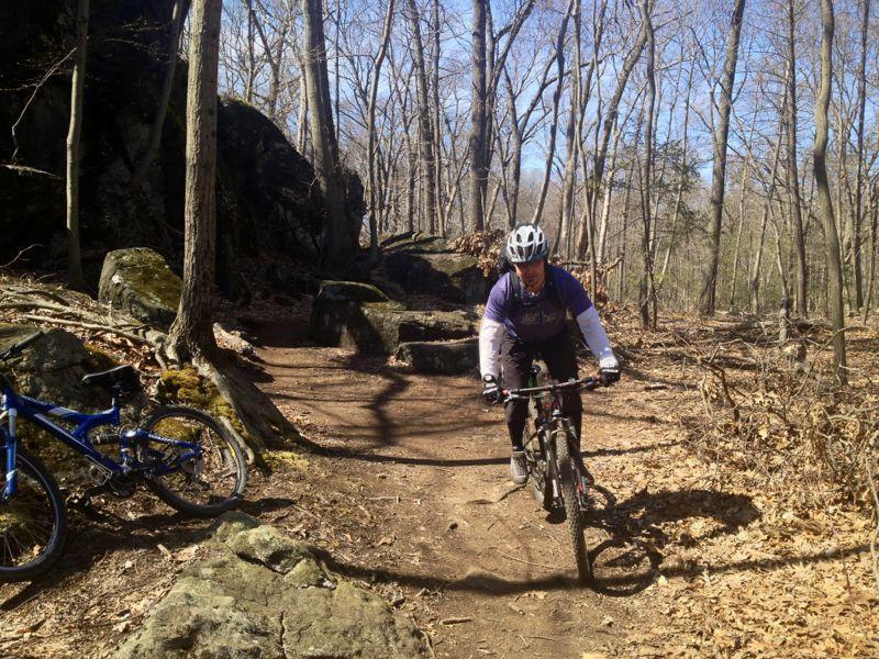 A mountain biker riding on a dirt trail surrounded by trees and rocky outcrops, with a blue bike resting on the ground nearby. The scene is set in a wooded area during a sunny day in early spring, with fallen leaves scattered on the ground. Blue Mountain Reservation mountain bike trail.