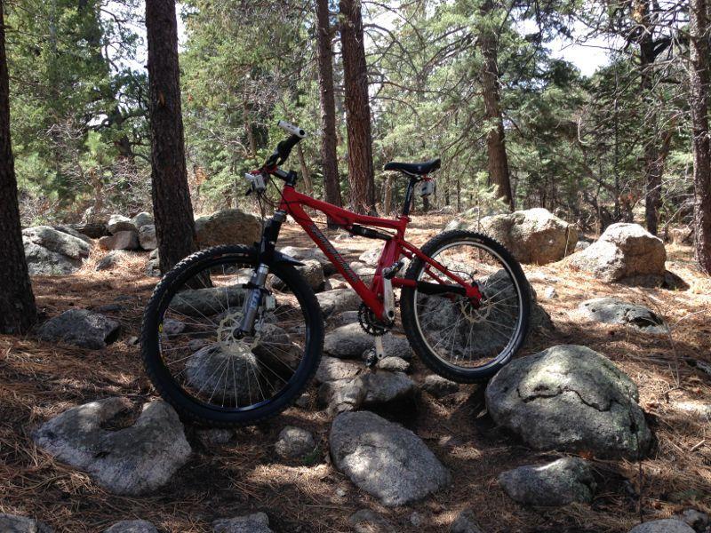 A red mountain bike is positioned on rocky terrain surrounded by tall pine trees. Pine needles cover the ground, and sunlight filters through the branches, creating a natural, outdoor setting. Cheyenne Mountain State Park mountain bike trail.